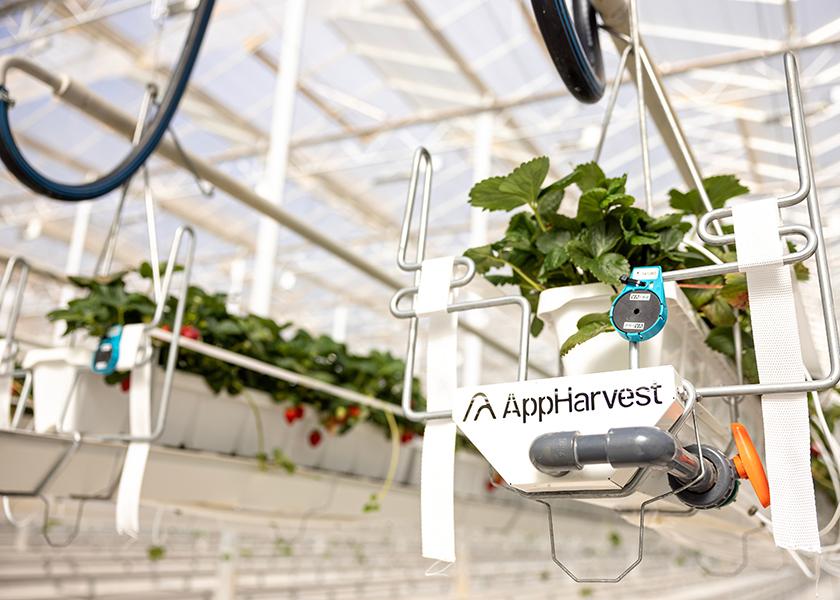 Bosch Growers to acquire AppHarvest berry and cucumber farm The